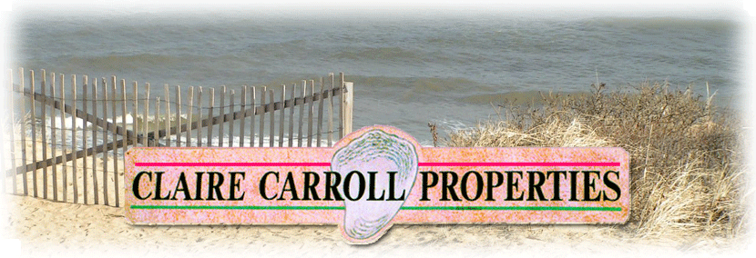 Claire Carroll Properties